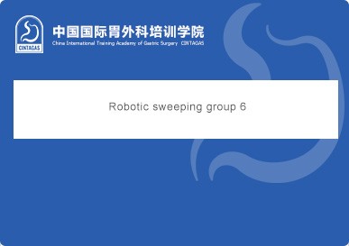 Robotic sweeping group 6