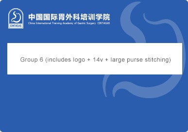 Group 6 (includes logo + 14v + large purse stitching)
